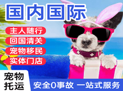 西安机场快运国际宠物托运 【国